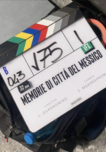 QUEER - MEMORIE DI CITTA' DEL MESSICO (2024) Feature Film by L. Guadagnino